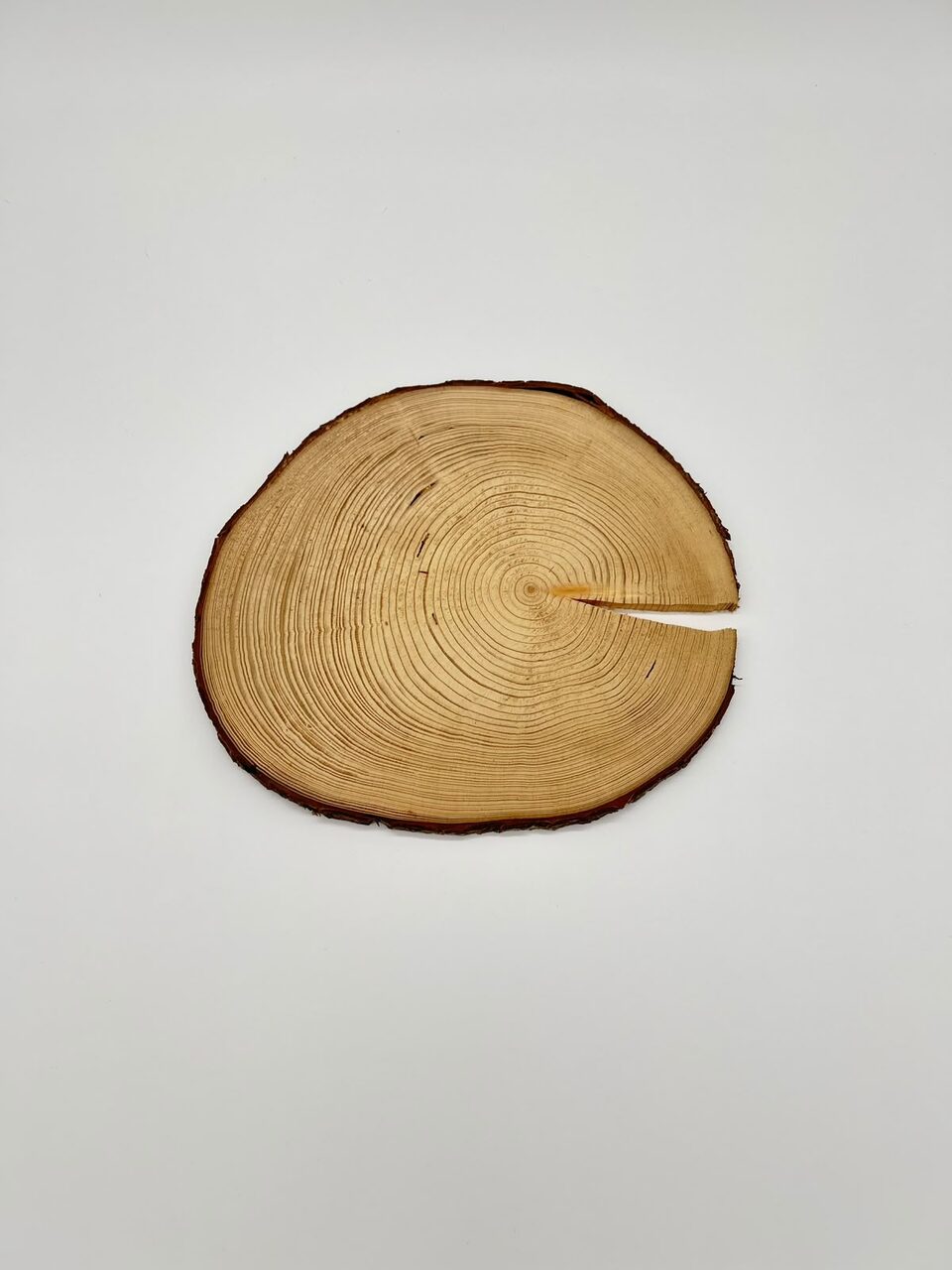 Holzscheiben-Platzset aus Naturholz